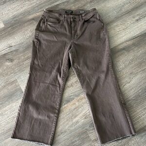 Judy Blue 14W Brown frayed hem straight leg Jean high waist
